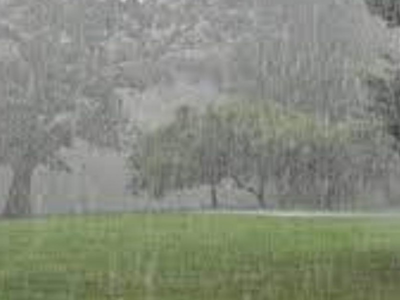 हल्का वर्षाको सम्भावना